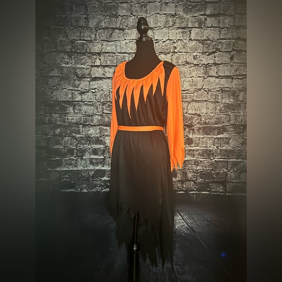 Halloween Costume Dress - Picture 1 of 5
